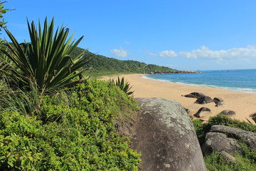 Fototapeta na wymiar Balneario Camboriu - Brazil - View of Taquarinhas Beach