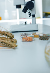 Obraz na płótnie Canvas Chemical Laboratory of the Food supply . Food in laboratory, dna modify