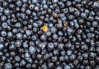 Wild berries, fresh fruit background texture