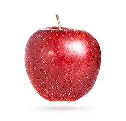 Red apple on white background