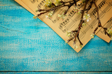 Blooming apple tree branch on a wooden background, top view