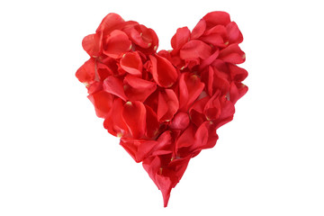 Obraz na płótnie Canvas rose petals in heart shape