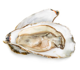 Oysters with pearls isolated on white background