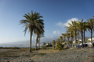 The coastline of Tenerife