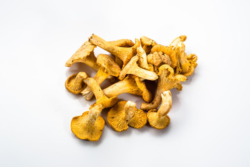 Chanterelles mushrooms on a white background