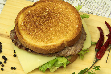 burger 24012016