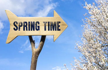 wooden sign indicating spring