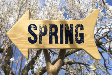 wooden sign indicating spring