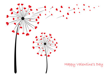 Happy Valentine's Day Love Dandelion with red hearts greeting card vector