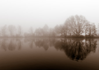 Misty morning on the waterfront.