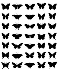 Black silhouettes of butterflies on a white background, vector - obrazy, fototapety, plakaty