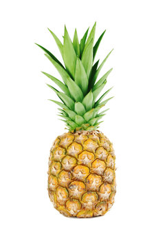 Ripe pineapple isolated on a white