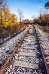 Fototapeta na wymiar Railway tracks in the woods, leading into the frame