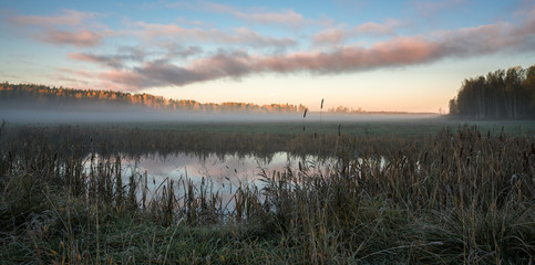 Obraz premium Morning fog