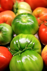 Fototapeta na wymiar Tomatoes / Green, red and yellow tomatoes