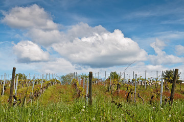 Le Saillant (Corrèze)