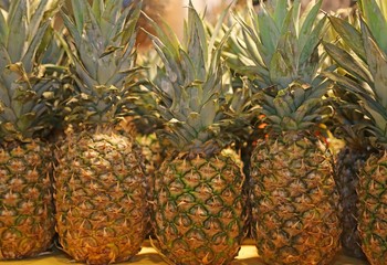 many pineapple for sale in the local fruit market