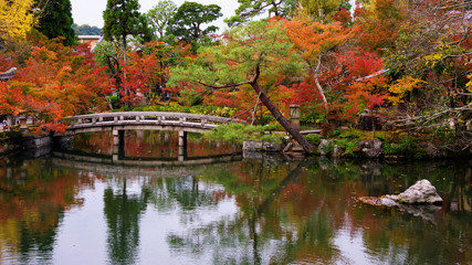 Fototapeta na wymiar Autumn garden at Eikando temple, Kyoto