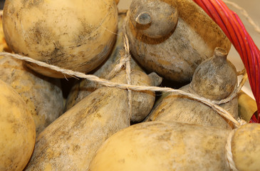 lots of forms of caciocavallo cheese for sale