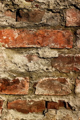 The red brick wall of a house 