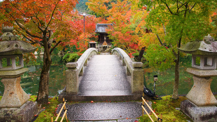 Obraz premium bridge wtih autumn leaves at Eikando Temple