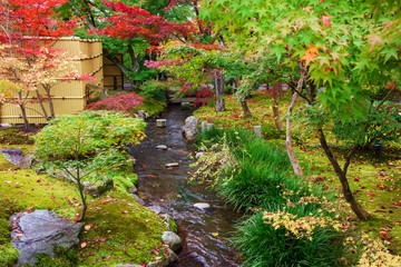 Autumn foliage garden at Eikando temple, Kyoto