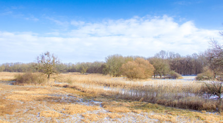 untere March Auen in Marchegg