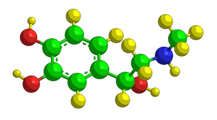 Molecular structure of adrenalin (Epinephrine) © raimund14
