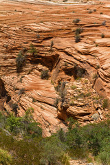 Red Sandstone in Zion National Park, Utah