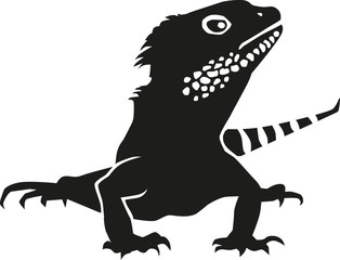 Obraz premium Iguana detailed vector