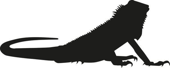 Naklejka premium Iguana silhouette