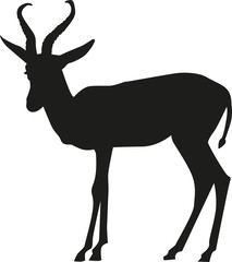 Springbok silhouette