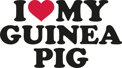 I love my guinea pig