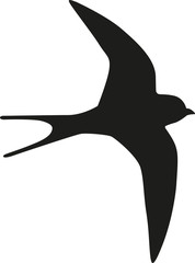 Martin bird silhouette