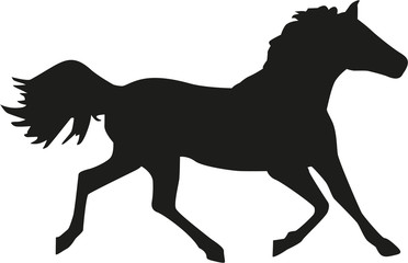 Arabian horse silhouette
