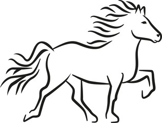 Obraz na płótnie Canvas Iceland horse