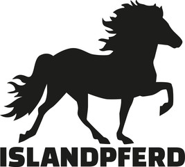 Iceland horse german name