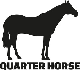 Quarter Horse