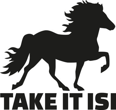 Iceland horse - Take it isi