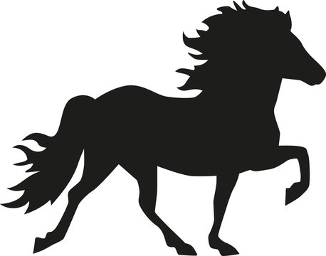 Iceland horse silhouette