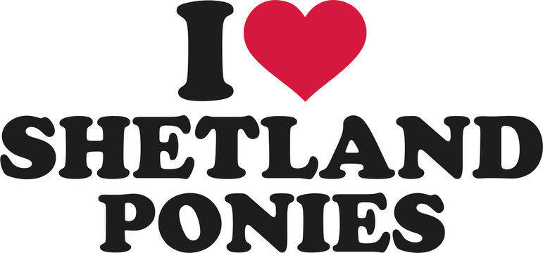 I love shetland ponies
