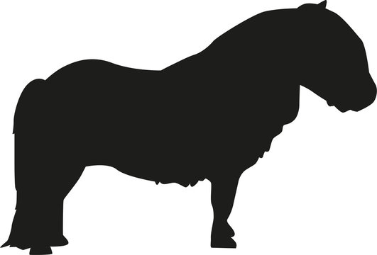 Shetland pony silhouette