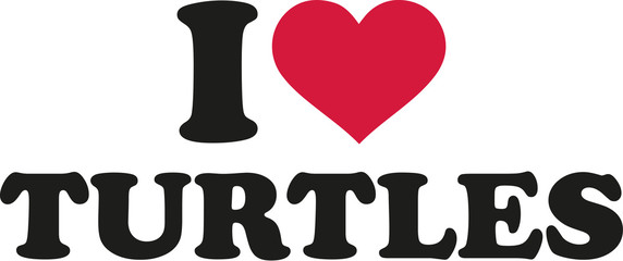 I love turtles