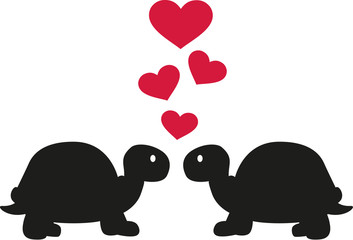 Two turtles in love with hearts