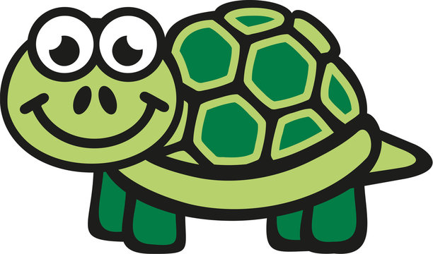 Funny cartoon turtle