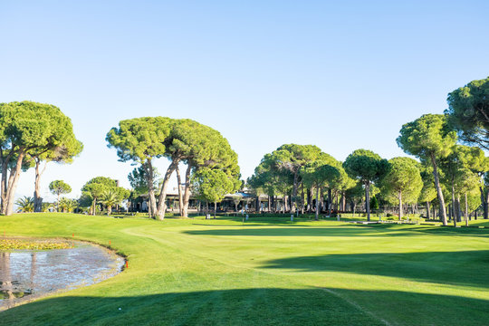 playing golf on a golf course