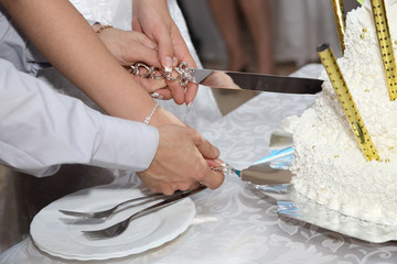 Obraz na płótnie Canvas the bride and groom cut the cake