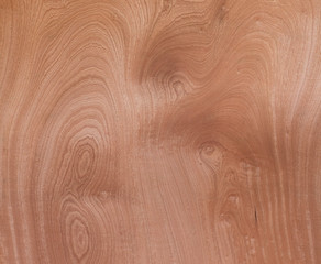 Wood Texture Veneer Abstract Natural Grain Pattern for Backgroun