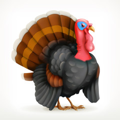 Turkey, vector icon