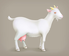Goat, vector icon